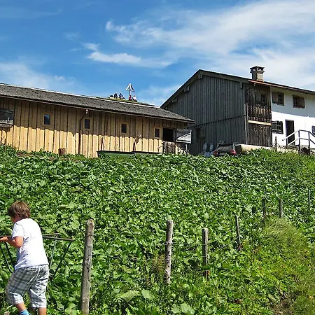公寓 Haus Ricarda *